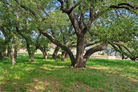 27132 Founders Place Spicewood TX 78669
