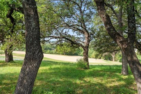 27132 Founders Place Spicewood TX 78669