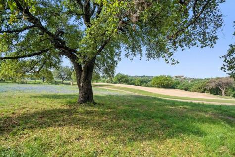 27132 Founders Place Spicewood TX 78669