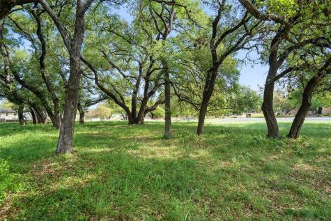 27132 Founders Place Spicewood TX 78669