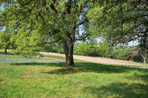 27132 Founders Place Spicewood TX 78669