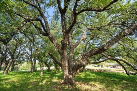 27132 Founders Place Spicewood TX 78669