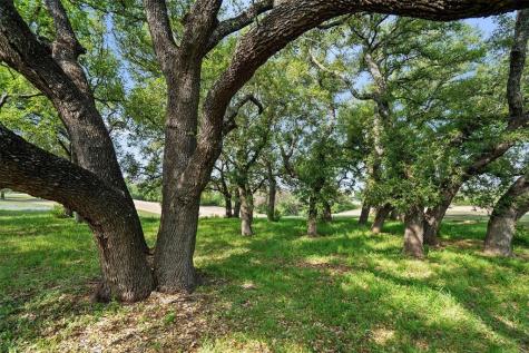 27132 Founders Place Spicewood TX 78669