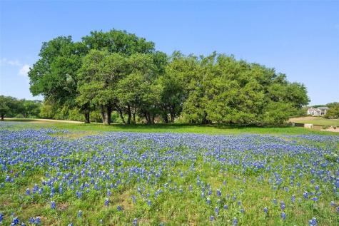 27132 Founders Place Spicewood TX 78669