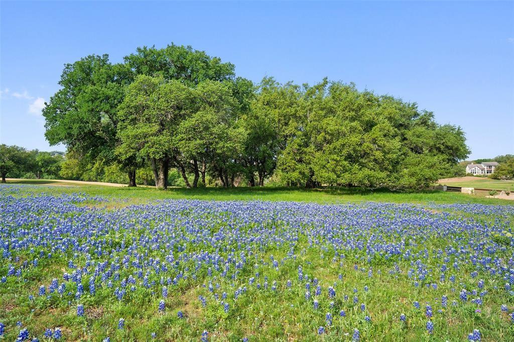 27132 Founders Place Spicewood TX 78669