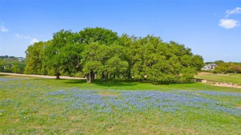 27132 Founders Place Spicewood TX 78669