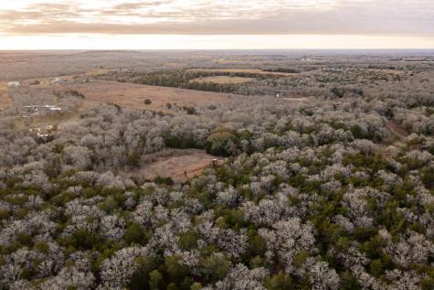 0000 Tbd 21+/- Ac Grassyville Road Paige TX 78659