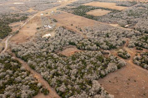 0000 Tbd 21+/- Ac Grassyville Road Paige TX 78659