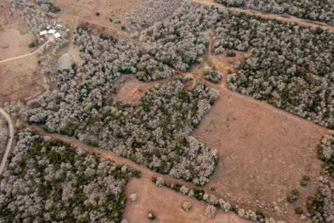 0000 Tbd 21+/- Ac Grassyville Road Paige TX 78659