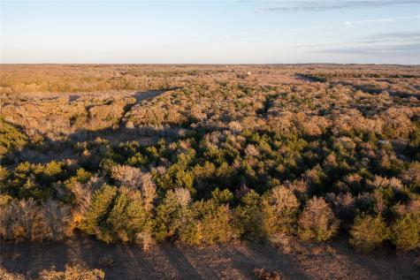 0000 Tbd 21+/- Ac Grassyville Road Paige TX 78659