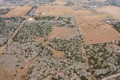 0000 Tbd 21+/- Ac Grassyville Road Paige TX 78659