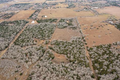 0000 Tbd 21+/- Ac Grassyville Road Paige TX 78659