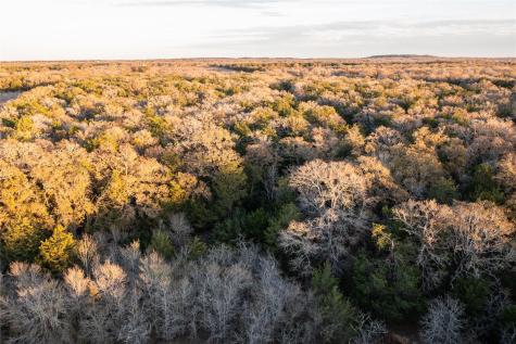 0000 Tbd 21+/- Ac Grassyville Road Paige TX 78659