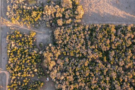 0000 Tbd 21+/- Ac Grassyville Road Paige TX 78659