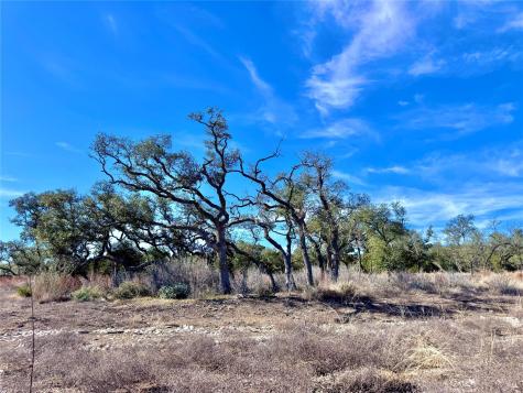 Tbd Tract 91 Citadel Drive Center Point TX 78010