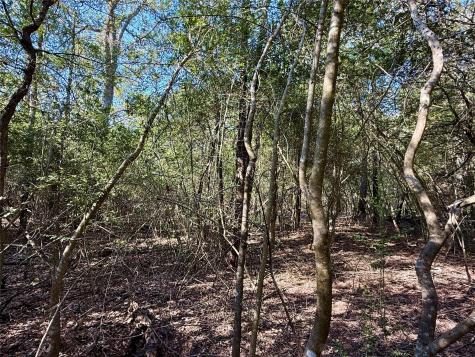 Tbd Lots 1232 & 1233 Hanauma Drive Bastrop TX 78602