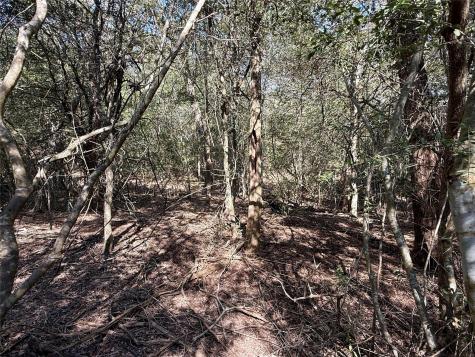 Tbd Lots 1232 & 1233 Hanauma Drive Bastrop TX 78602