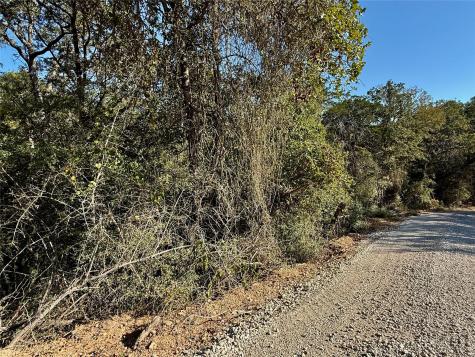 Tbd Lots 1232 & 1233 Hanauma Drive Bastrop TX 78602