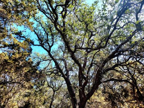 2066 Stallion Springs Drive Fischer TX 78623