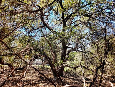2066 Stallion Springs Drive Fischer TX 78623