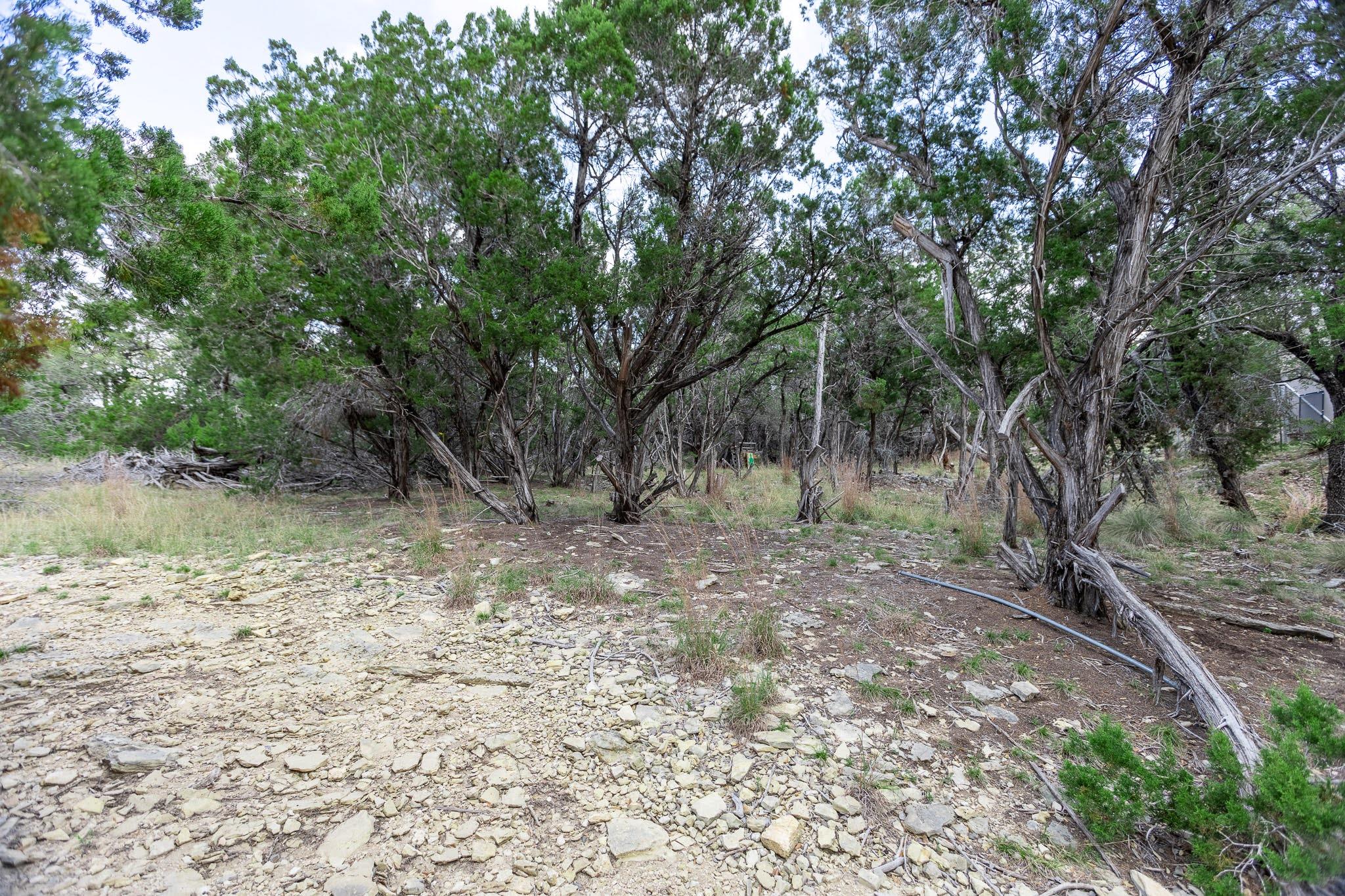 1925 Cripple Creek Stage Road Dripping Springs TX 78620