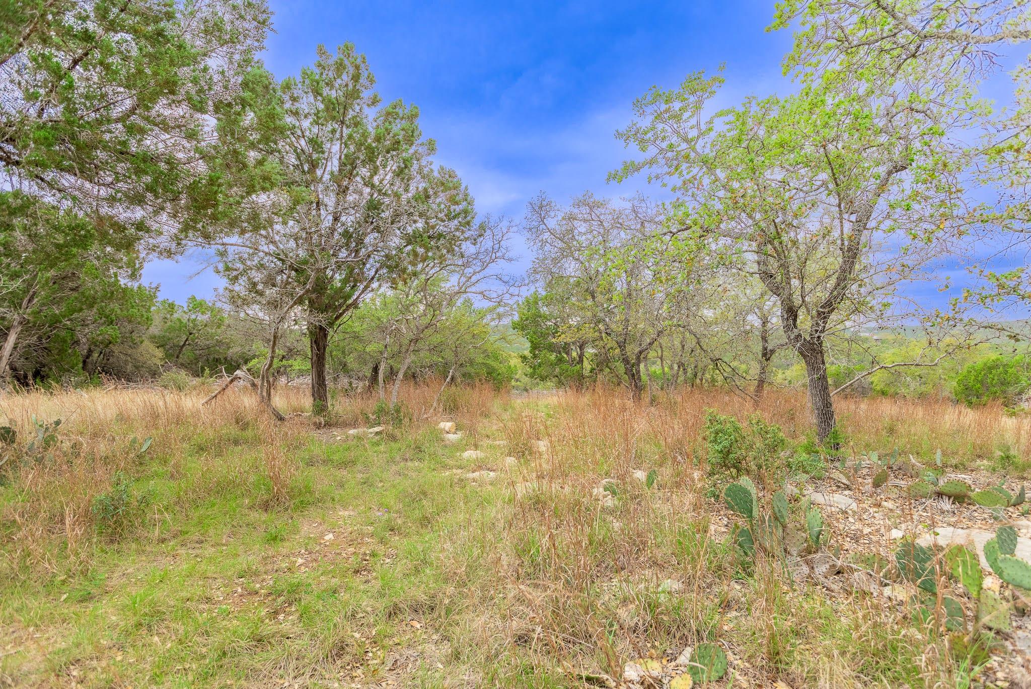 1925 Cripple Creek Stage Road Dripping Springs TX 78620