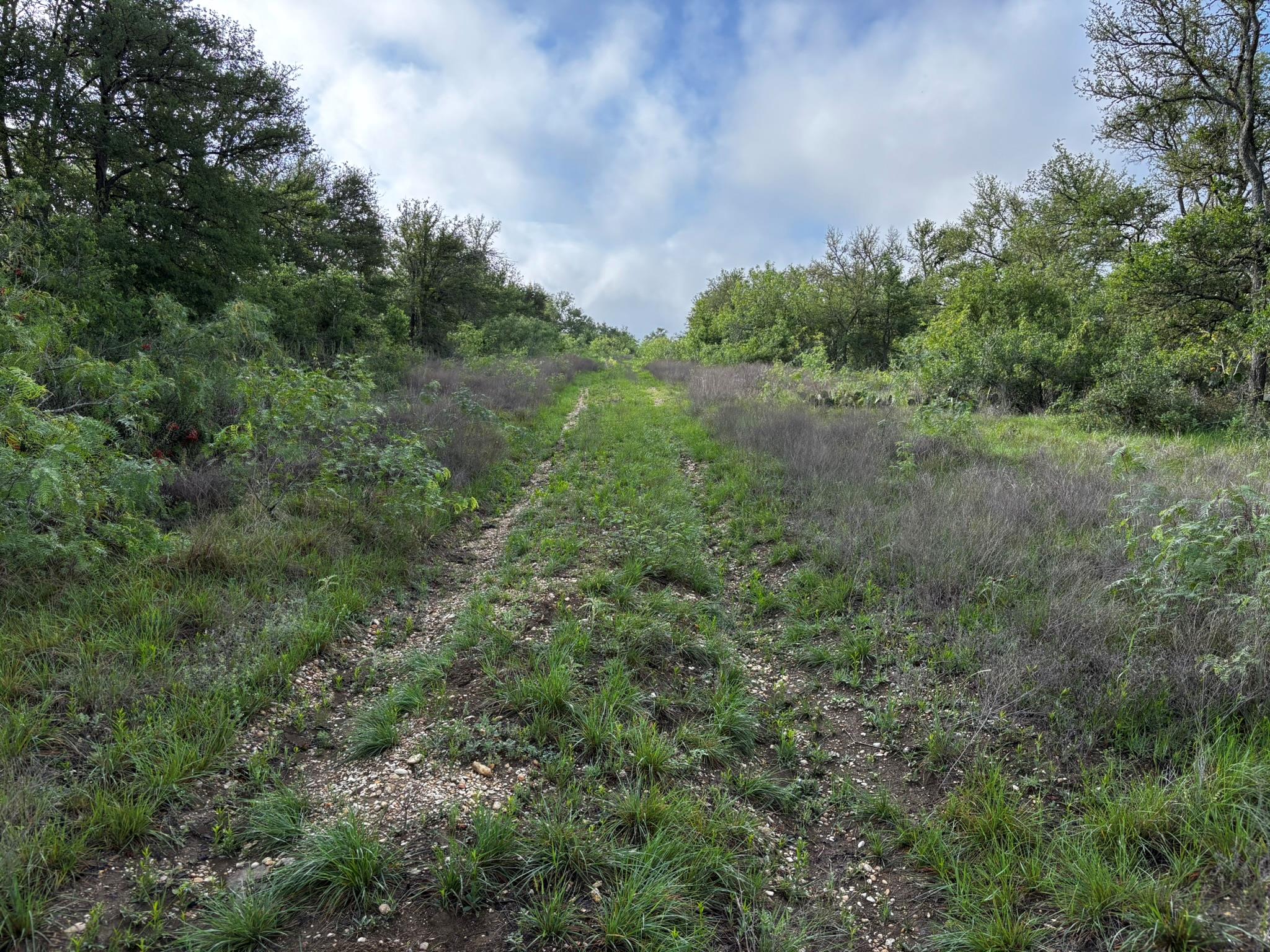 683 County Road 467 Thrall TX 76578