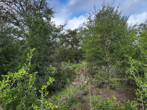 683 County Road 467 Thrall TX 76578