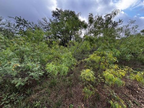 683 County Road 467 Thrall TX 76578