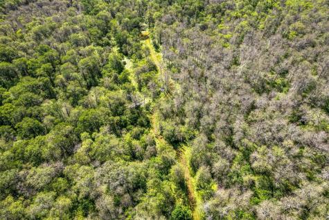 201 Fawn Ridge Road Cedar Creek TX 78612