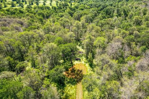 201 Fawn Ridge Road Cedar Creek TX 78612