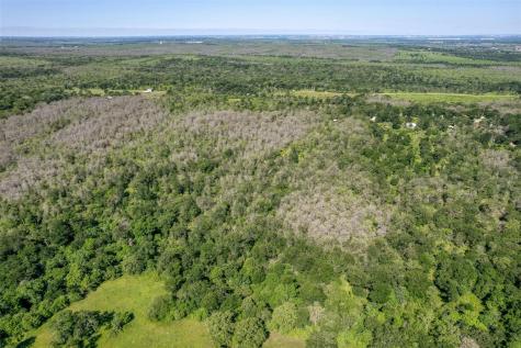 201 Fawn Ridge Road Cedar Creek TX 78612