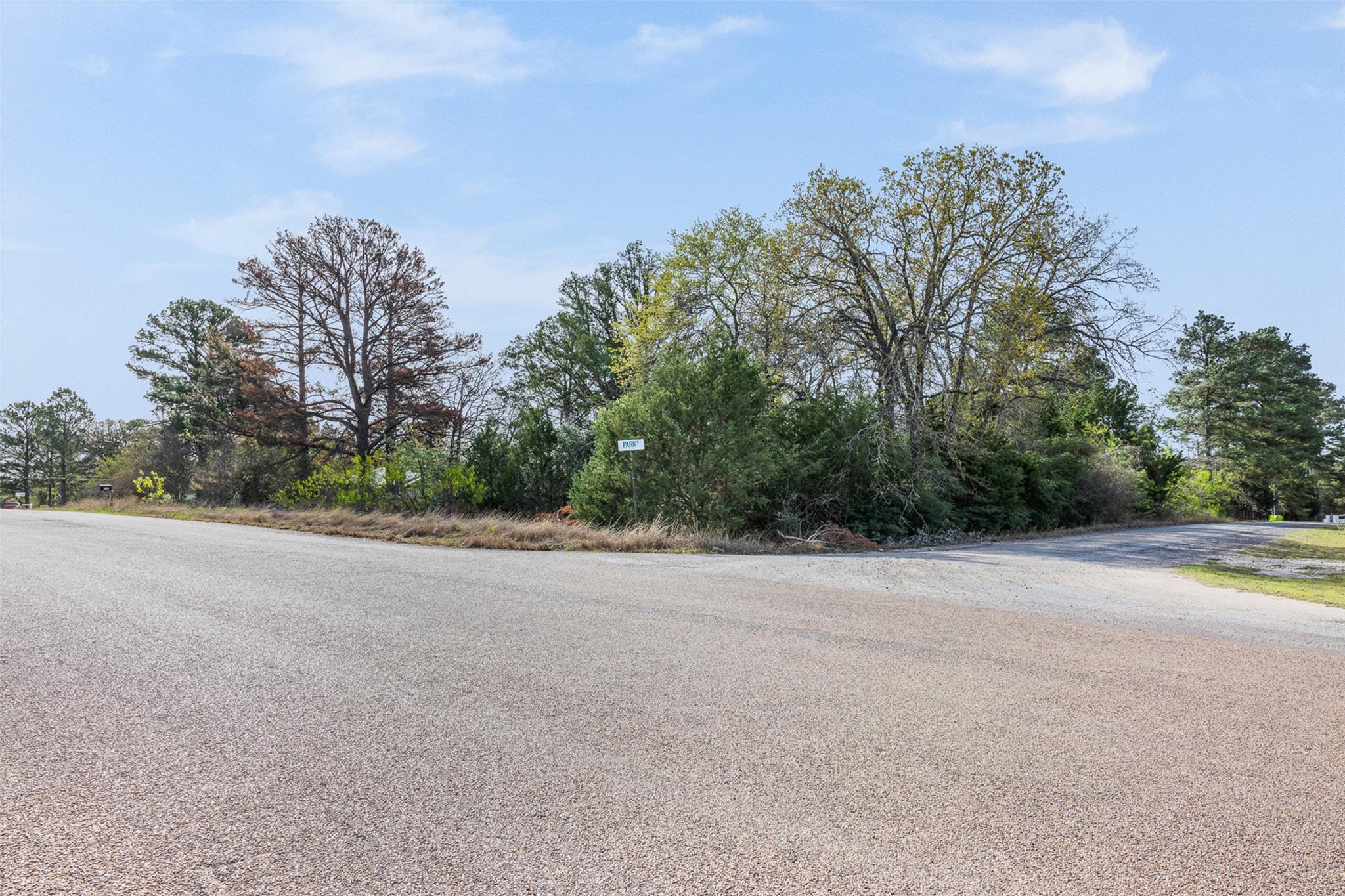 Lot 1 Indian Oak Drive Bastrop TX 78602