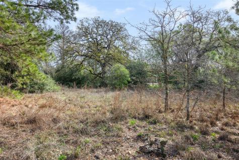 Lot 1 Indian Oak Drive Bastrop TX 78602
