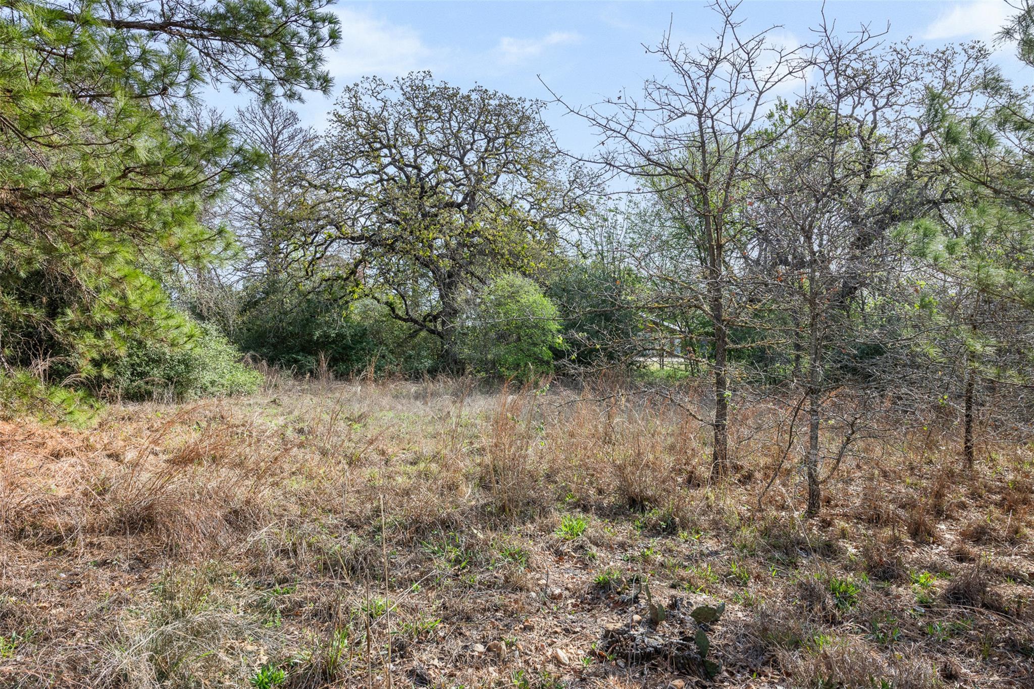 Lot 1 Indian Oak Drive Bastrop TX 78602