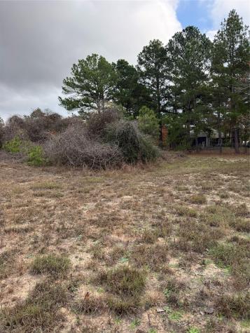 Lot 7 Cool Water Drive Bastrop TX 78602