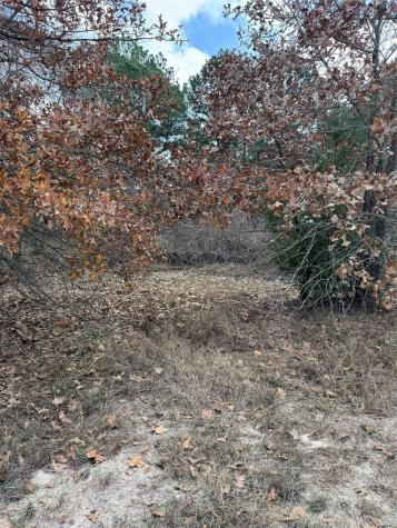 Lot 7 Cool Water Drive Bastrop TX 78602
