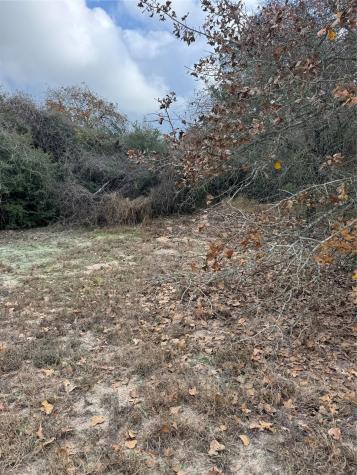 Lot 7 Cool Water Drive Bastrop TX 78602
