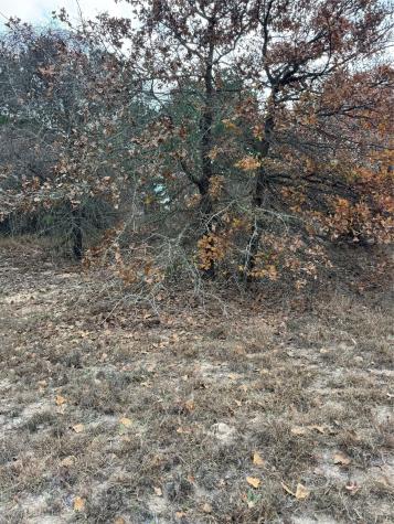 Lot 7 Cool Water Drive Bastrop TX 78602