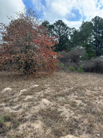 Lot 7 Cool Water Drive Bastrop TX 78602