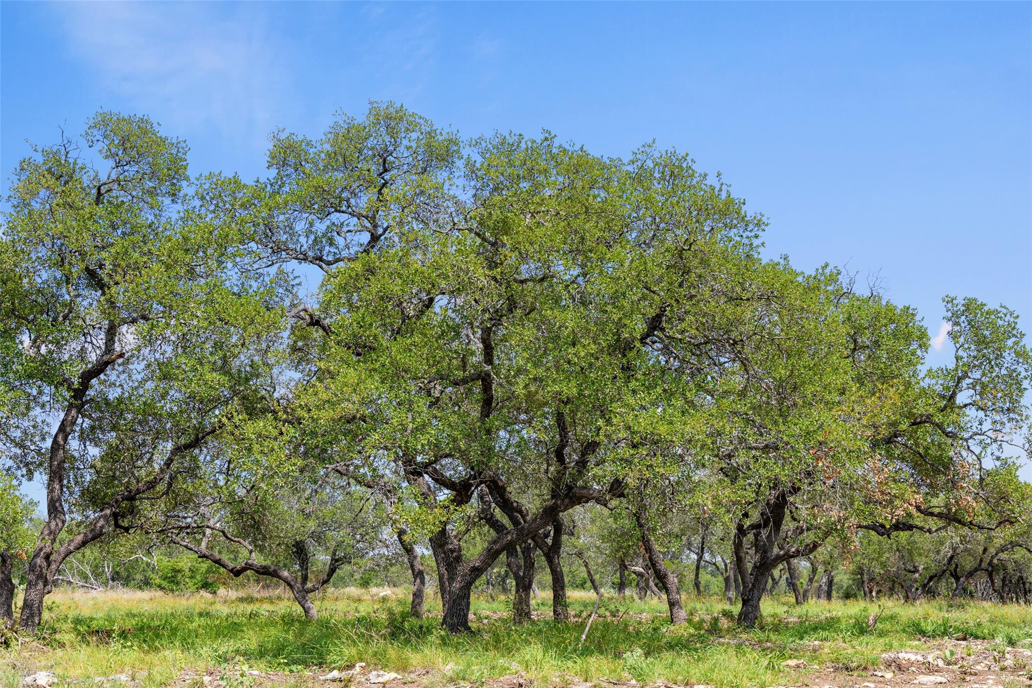 Lot 7 Pedernales Canyon Trail Spicewood TX 78669