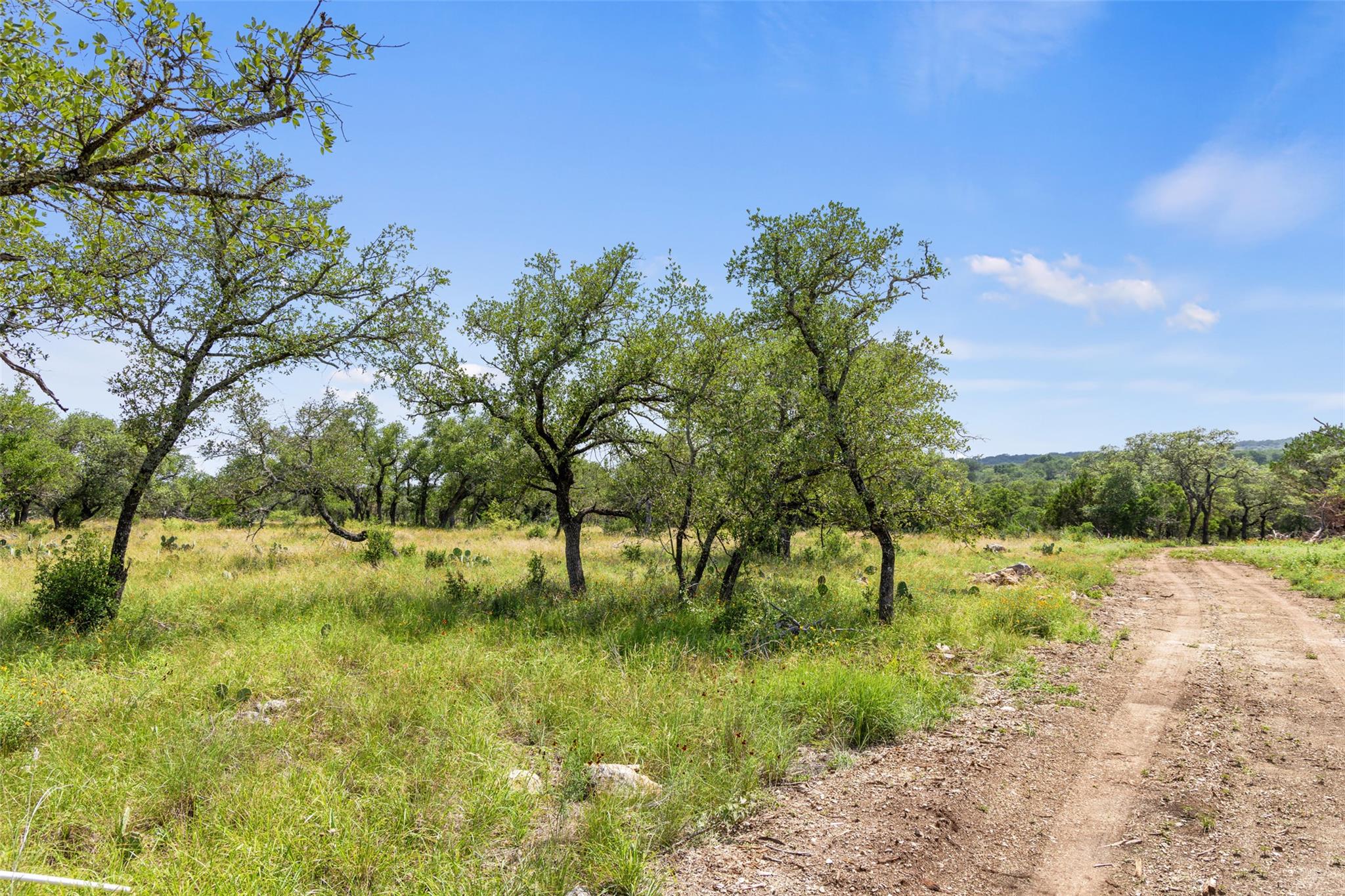 Lot 7 Pedernales Canyon Trail Spicewood TX 78669