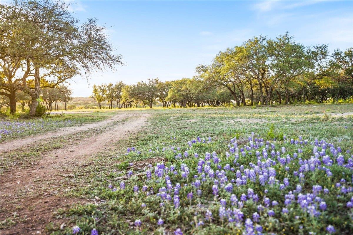 Lot 7 Pedernales Canyon Trail Spicewood TX 78669