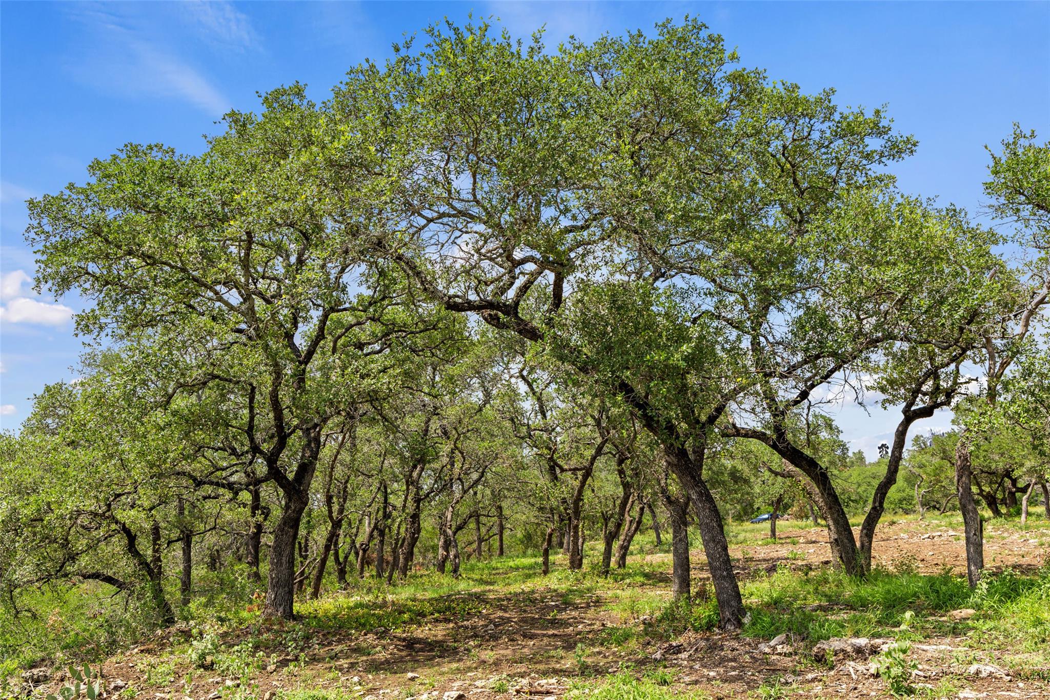 Lot 7 Pedernales Canyon Trail Spicewood TX 78669