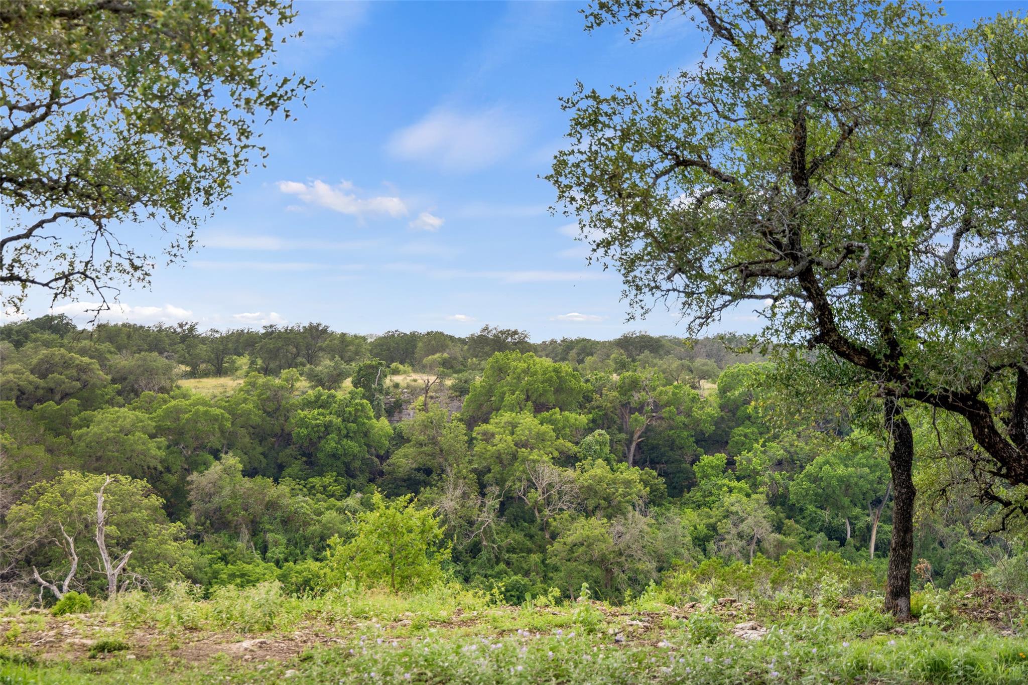 Lot 7 Pedernales Canyon Trail Spicewood TX 78669