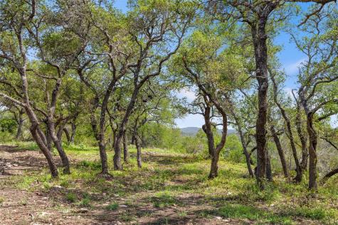 Lot 7 Pedernales Canyon Trail Spicewood TX 78669
