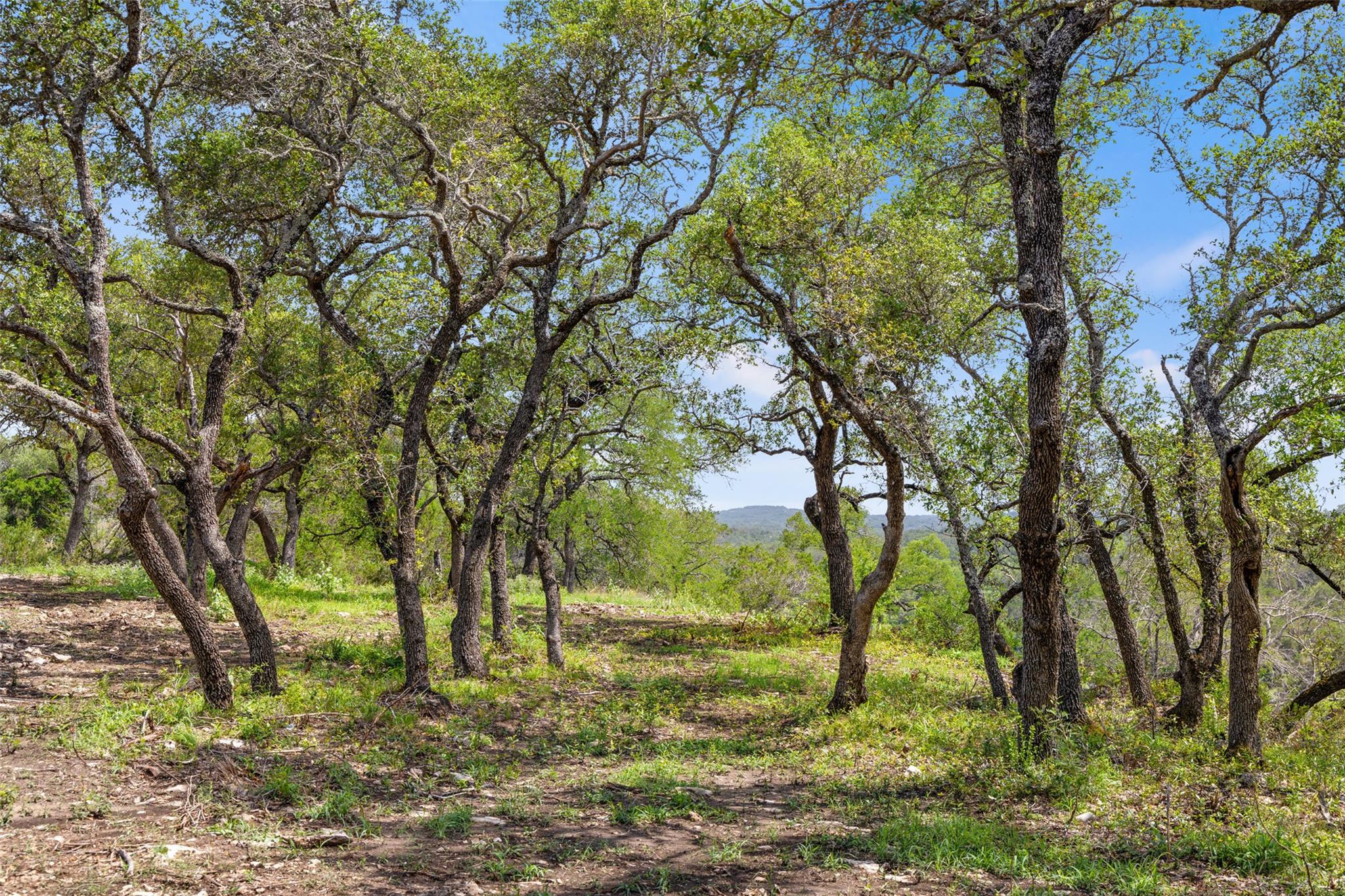 Lot 7 Pedernales Canyon Trail Spicewood TX 78669