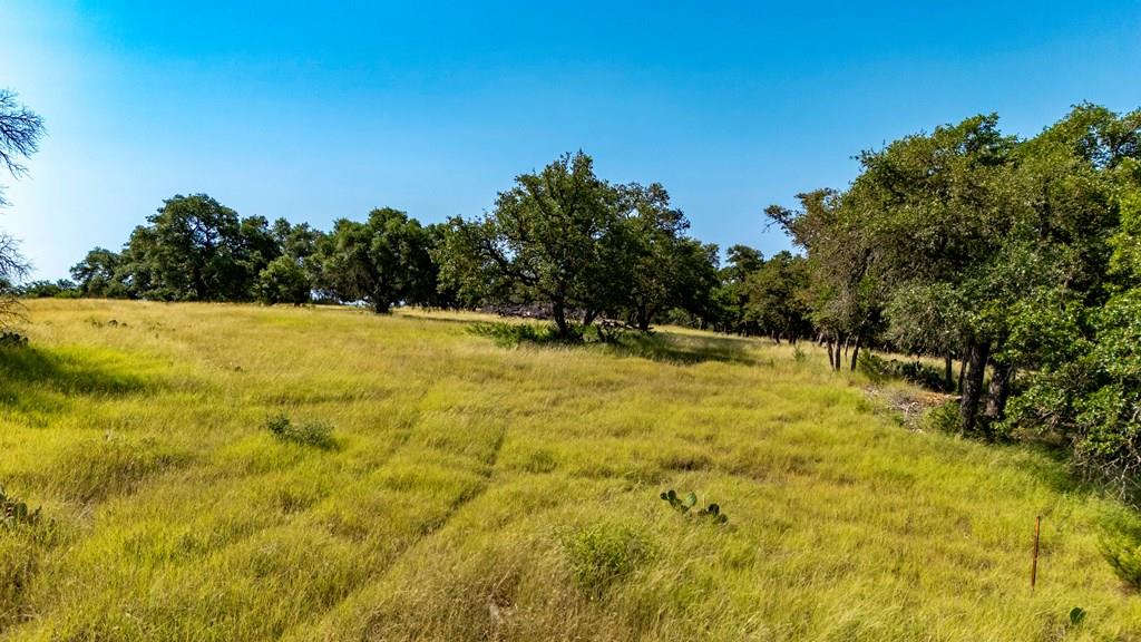 Lot 14 Thornton Ridged Drive Kerrville TX 78028