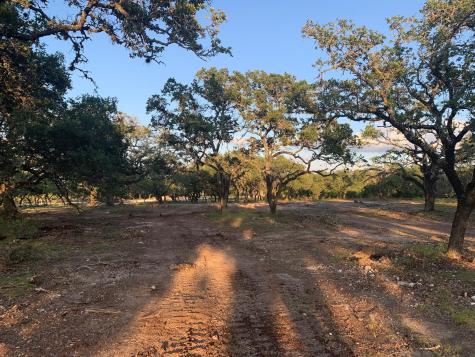Lot 14 Legacy Hills Drive Johnson City TX 78636