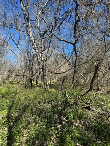 Lot 961 Riverside Drive Bastrop TX 78602